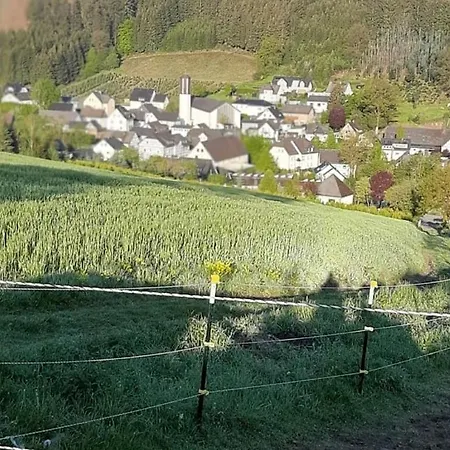 Apartamento Cosy In Bestwig With Parking Heringhausen